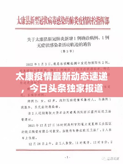 太康疫情最新动态速递,今日头条独家报道