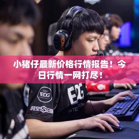 小猪仔最新价格行情报告!今日行情一网打尽!