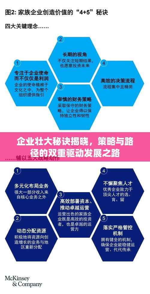 企业壮大秘诀揭晓,策略与路径的双重驱动发展之路