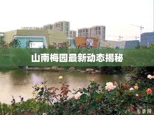 山南梅园最新动态揭秘