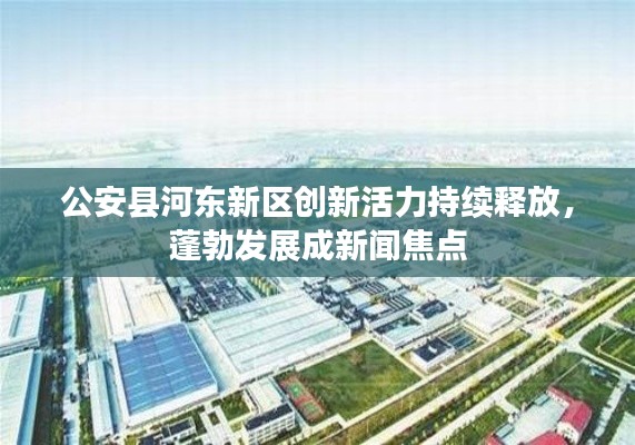 公安县河东新区创新活力持续释放,蓬勃发展成新闻焦点