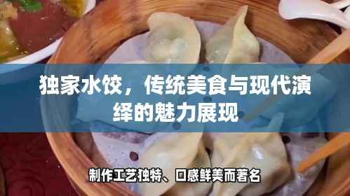 独家水饺,传统美食与现代演绎的魅力展现