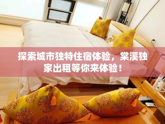 探索城市独特住宿体验,棠溪独家出租等你来体验!