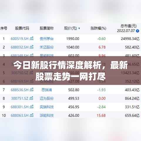 今日新股行情深度解析,最新股票走势一网打尽