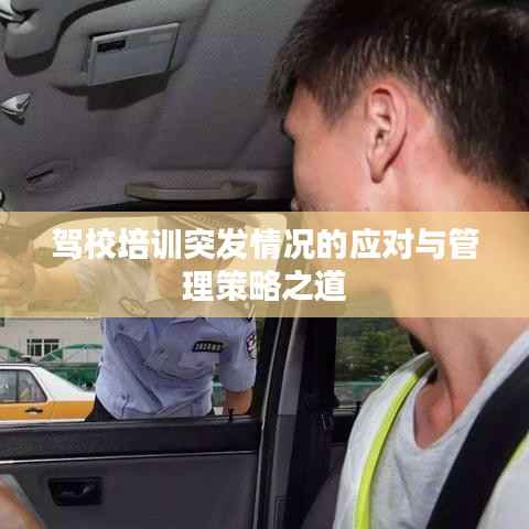 驾校培训突发情况的应对与管理策略之道