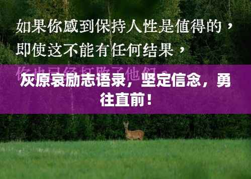 灰原哀励志语录,坚定信念,勇往直前!