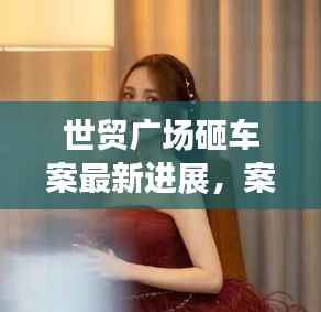 世贸广场砸车案最新进展,案件视频曝光,揭秘事件真相!