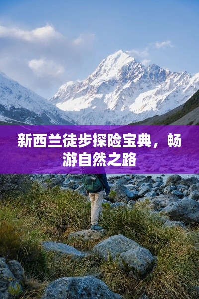 新西兰徒步探险宝典,畅游自然之路