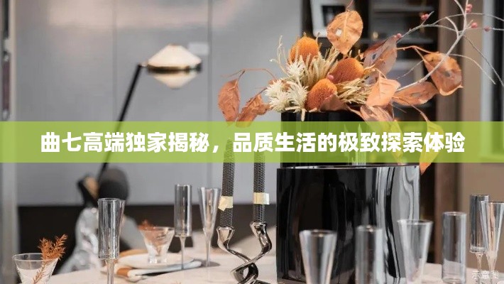 曲七高端独家揭秘,品质生活的极致探索体验