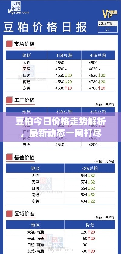 豆柏今日价格走势解析,最新动态一网打尽