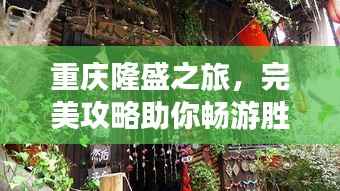 重庆隆盛之旅,完美攻略助你畅游胜地!