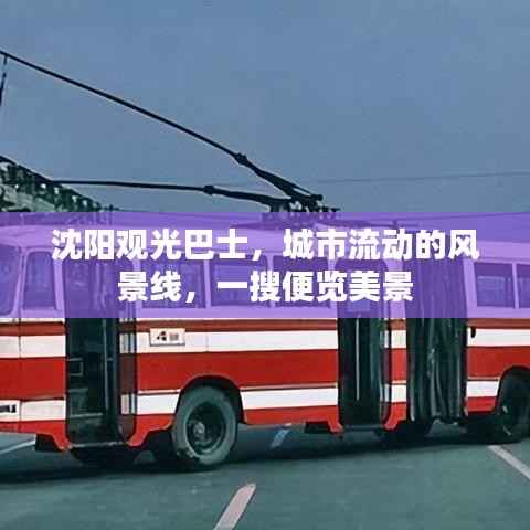 沈阳观光巴士,城市流动的风景线,一搜便览美景