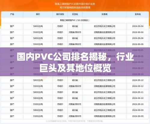 国内PVC公司排名揭秘,行业巨头及其地位概览
